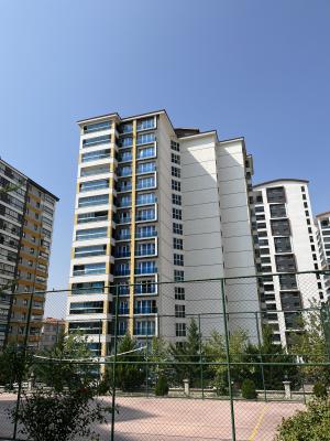 Dış Mekan